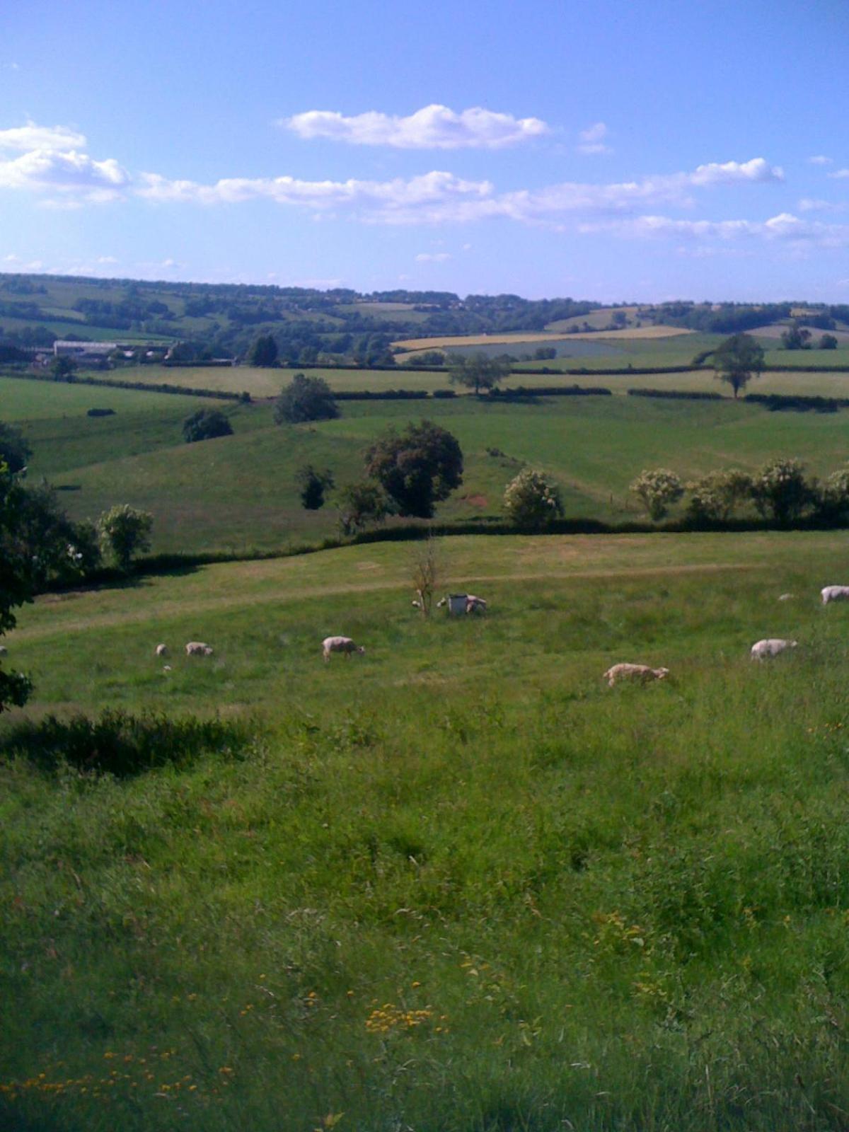 T'S At Lower Rudloe Farm Corsham Exterior foto